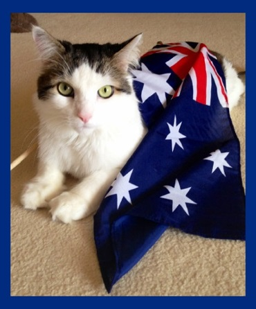 AustrailiaCatDCCCCL